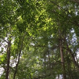 夏−5IMG_3148