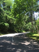 嵐の後IMG_2948