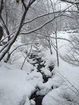 雪景色1IMG_0796