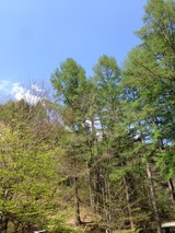 5月1写真-68
