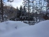 雪景色IMG_1018