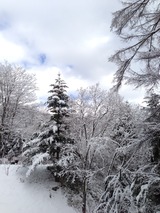 雪景色2写真-1