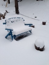 雪5写真-54