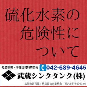 水素 遺体 硫化