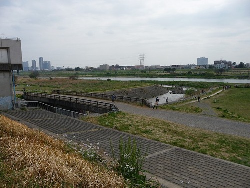 todoroki20110410_000