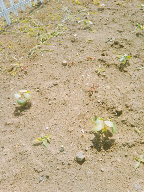 2018-05-25-09-09-13_20180525092442