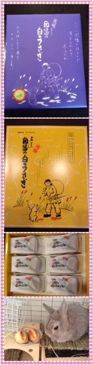 筋太郎と因幡の白ウサギ