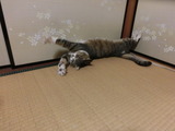 CIMG8304