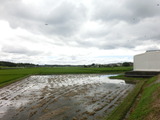 CIMG8874