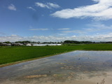 CIMG8955