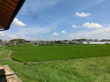 CIMG8732