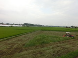 CIMG8799