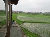 IMG_0001(1)
