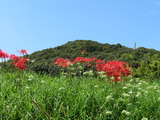 IMG_0055