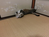 CIMG8303