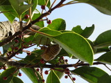 IMG_0010