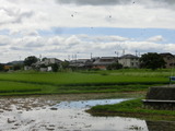 CIMG8877