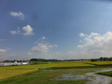 CIMG0385