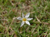 CIMG6291