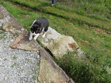 IMG_0084