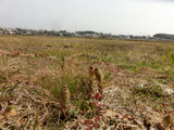 CIMG4502