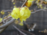IMG_0024(1)