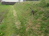 IMG_0011