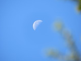 IMG_0037