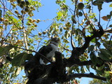 IMG_0010