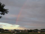 IMG_0006(1)
