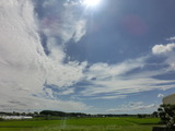 CIMG8754