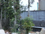 CIMG6552