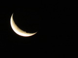 IMG_0004