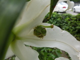 CIMG8369