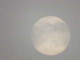 IMG_0004(1)