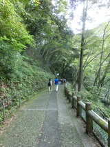 CIMG0394