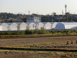 CIMG3133