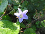IMG_0059(1)