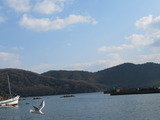 IMG_0079