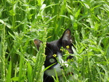IMG_0073