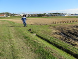IMG_0060