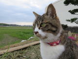 IMG_0009(1)