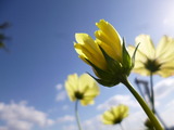 P1330084