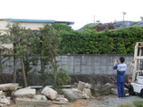 CIMG6547
