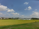 CIMG0382