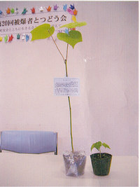 ���F��i�T�j