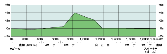 京都芝コース高低断面図(右・外)