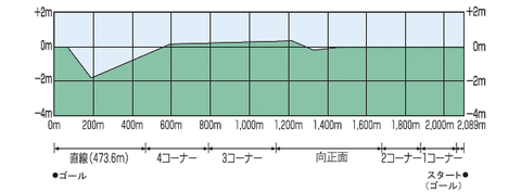 阪神芝コース高低断面図(右・外)