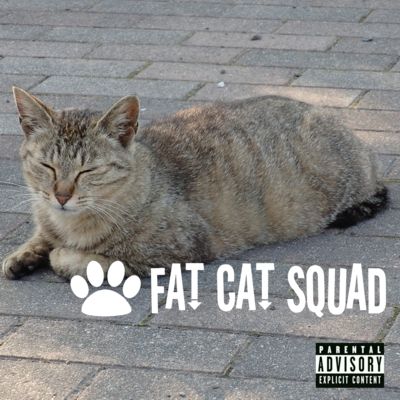 FAT CAT SQUAD