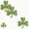 CLOVER1